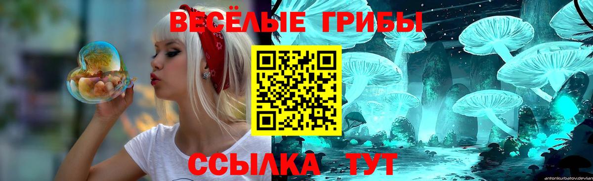 Галлюциногенные грибы мицелий  Вход с VPN  Владивосток 
